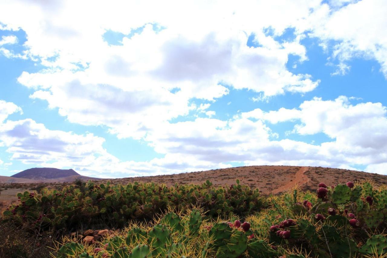 Montana Valles De Ortega - A Buitenkant foto